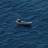 Far Away From Far Away