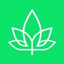 SmokeUp APK