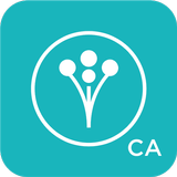 WeddingWire icon