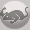  CatMouse APK