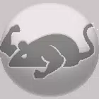 CatMouse 图标