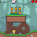 Cat adventure