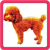 Jax The Dog أيقونة