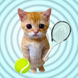 Теннис с котом: Cat and dog