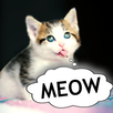 Cat translator. Cat sound joke APK
