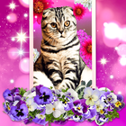 Cute Cats Live Wallpaper ไอคอน