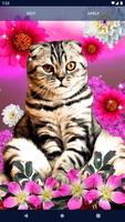 Cute Cats Live Wallpaper скриншот 3