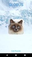 Cat Puzzles poster