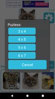 Cat Puzzles screenshot 1