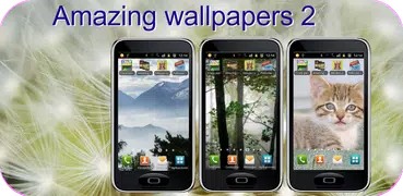 Amazing wallpaper 2 by Drac