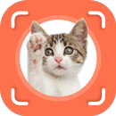 Cat Identifier - Cat Scanner aplikacja