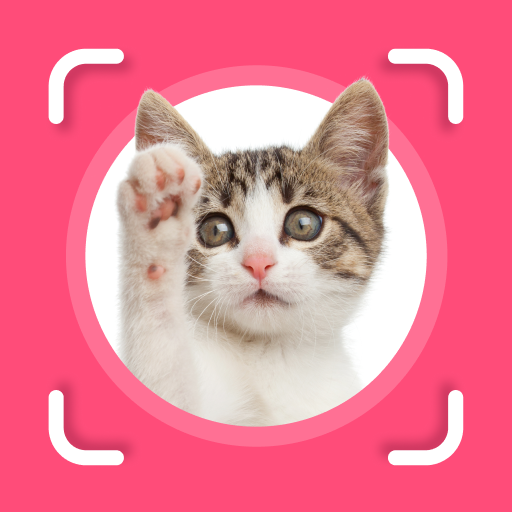 Cat Identifier: Cat Scanner