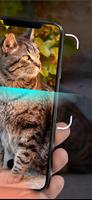 Cat Identifier تصوير الشاشة 1