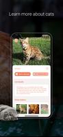 Cat Identifier تصوير الشاشة 3