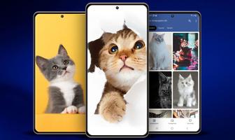 Cute Cat Wallpaper bài đăng