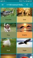 +1100 Animal Wallpapers স্ক্রিনশট 1