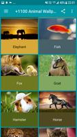 +1100 Animal Wallpapers syot layar 2