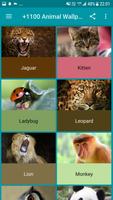 +1100 Animal Wallpapers اسکرین شاٹ 3