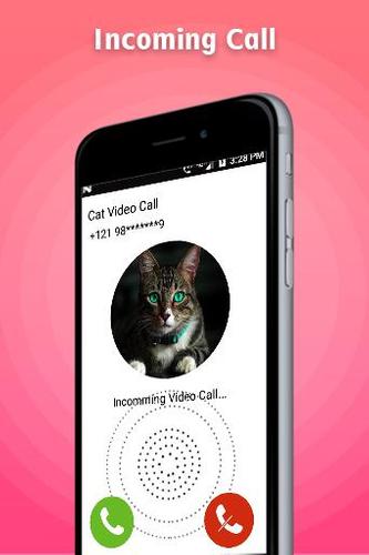 Cat Fack Video Call For Android Apk Download