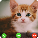 Cat Fake Video Call prank APK