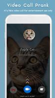 Cat Video Calling & Chat Simul-poster