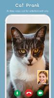 Cat Video Calling & Chat Simul screenshot 2