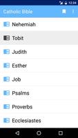 Catholic audio Bible offline ภาพหน้าจอ 1