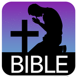 Catholic Bible Commentary