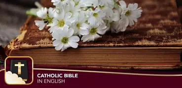Catholic Bible in English