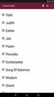 Catholic Bible in English screenshot 1