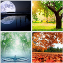 + 1400 प्रकृति वॉलपेपर APK