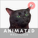 Cats Memes Animated Stickers APK