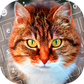 Cute Cat Keyboard Theme 2020