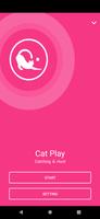 Cat Play-poster