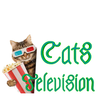 CATS TELEVISION APK