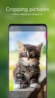 Cat Wallpapers & Cute Kittens syot layar 3