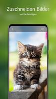 Hintergrundbilder Katzen 4K Screenshot 3