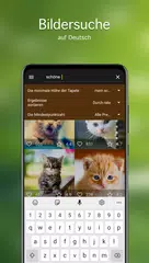 Hintergrundbilder Katzen 4K XAPK Herunterladen
