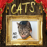 Cats - Yüz Maskeleri Editörü