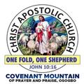 CAC Covenant Mountain RadioTV