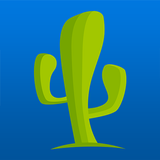 CactusVPN icono