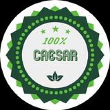 القيصر لخدمات الرصيد والباقات icon