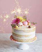 برنامه‌نما Birthday Cake Designs عکس از صفحه