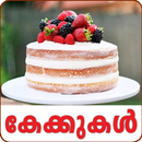 Cake Recipe-Malayalam APK
