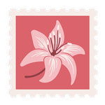Stamp collector: stamp catalog icon