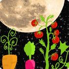 Calendrier Lunaire du jardin ícone