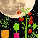 Calendrier Lunaire du jardin