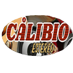 Calibio Estereo 107.3 FM