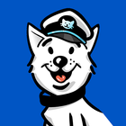 Motion Detection icon