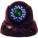 Viewer Pro For Geovision cams APK